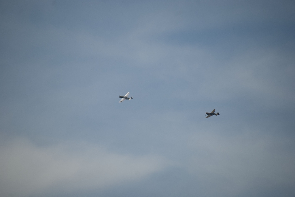 DSC_3609.jpg